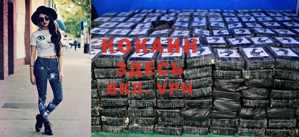 прущий лед Алзамай