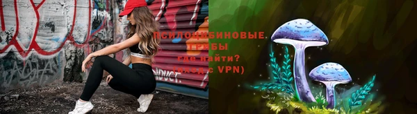 прущий лед Алзамай